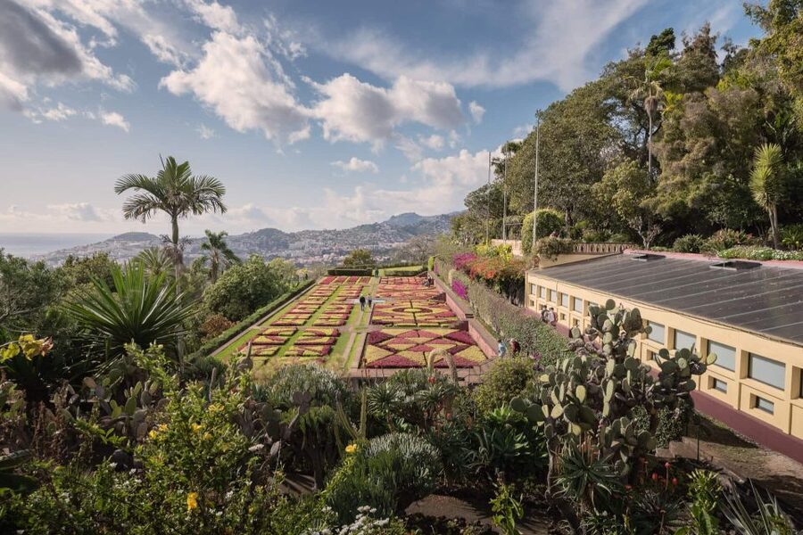 Funchal: Botanical Garden and Old Town Private Tuk-Tuk Tour - Should you book the Funchal Botanical Garden and Old Town tuk-tuk tour?