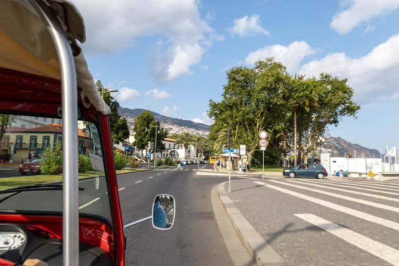 Funchal: Botanical Garden & Old Town Tour by TukTuk (1h45) - Museum of Natural History: A Smart Optional Add-On