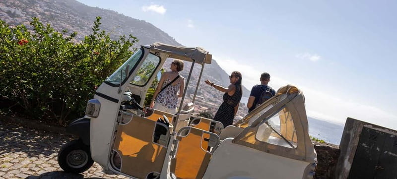 Funchal: Botanical Garden & Old Town Tour by TukTuk (1h45) - Tips That Make Your Garden Hour Better