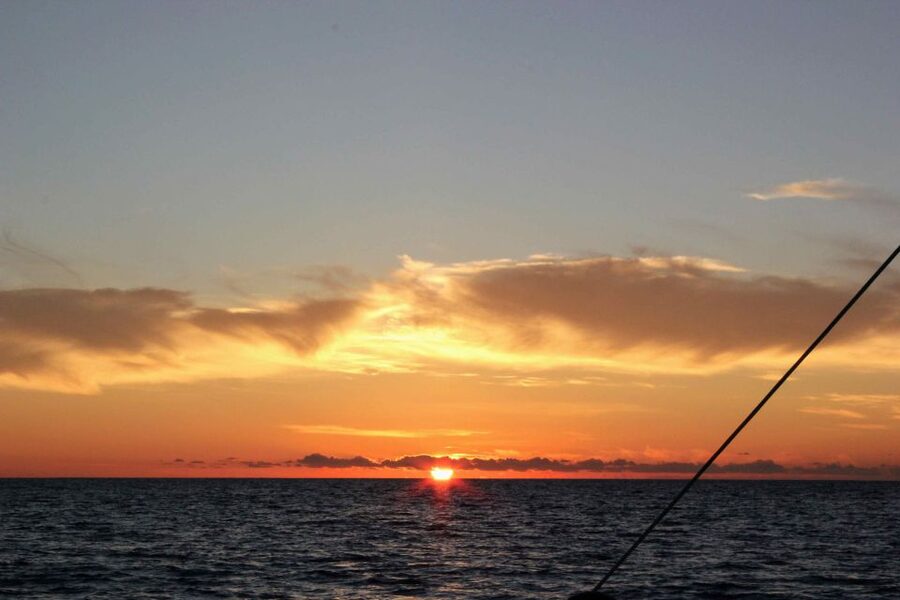 Funchal: Cabo Girão Sunset Catamaran Tour - Wildlife Chances on the Route: Pilot Whales and Dolphins