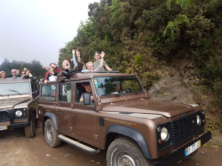 Funchal: Cabo Girão, Wines Tasting and Dolphins Watching - Price and Value: What You’re Getting for About $104
