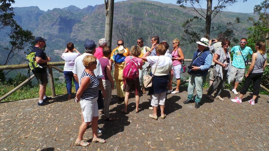 Funchal: Cabo Girão, Wines Tasting and Dolphins Watching - Henriques & Henriques Madeira Wine Tasting: Find Your Style