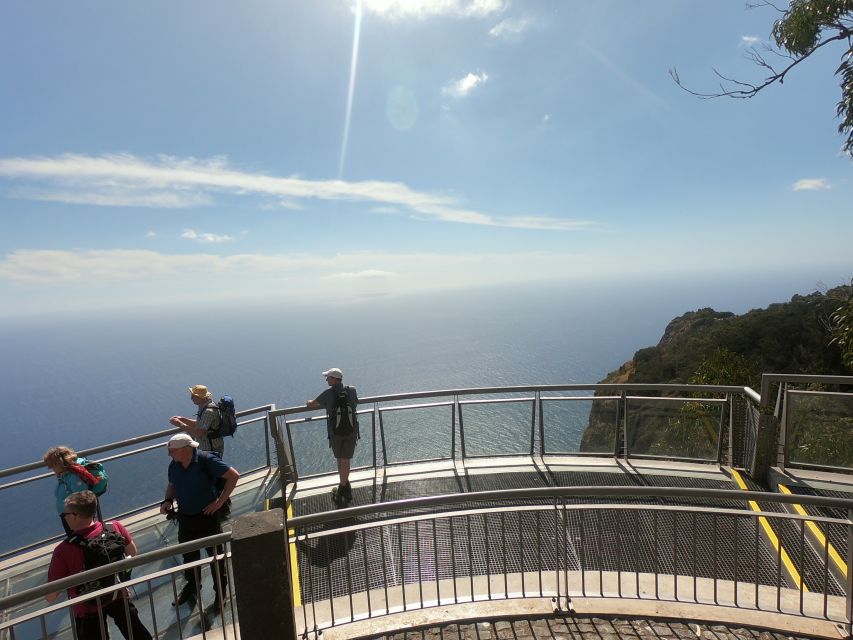Funchal: Cabo Girão, Wines Tasting and Dolphins Watching - Marina of Funchal Handoff to the Catamaran Dolphin Cruise