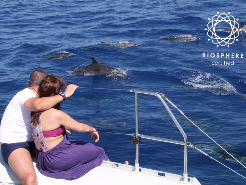 Funchal: Cabo Girão, Wines Tasting and Dolphins Watching - From Funchal Bay to Boca dos Namorados: The “Look-First” Start