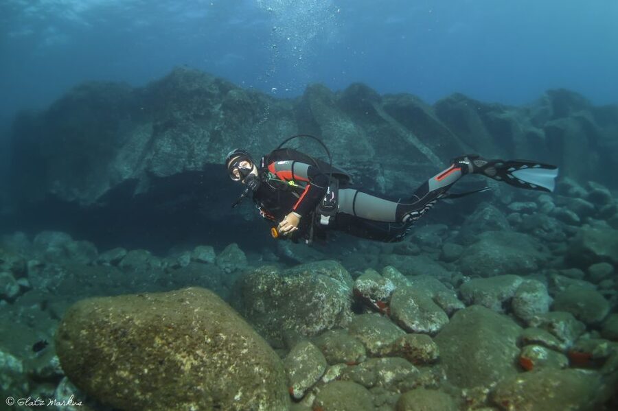 Funchal: Certified Scuba Diving, Guided Tour - Eco Park Funchal: why this shore session feels different