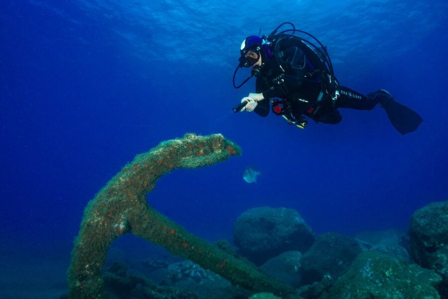 Funchal: Certified Scuba Diving, Guided Tour - The 1-hour Atlantic underwater time: what the session is built around