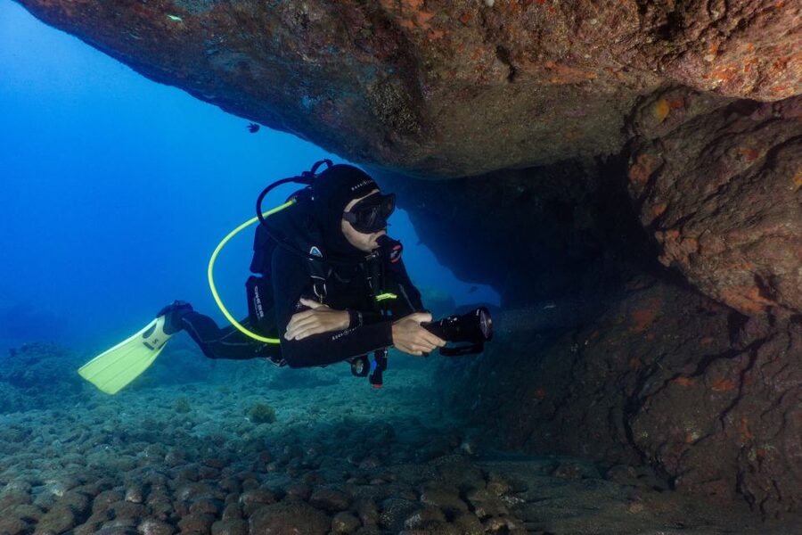 Funchal: Certified Scuba Diving, Guided Tour - Wildlife you can actually spot: fish schools, barracuda, and an octopus sighting