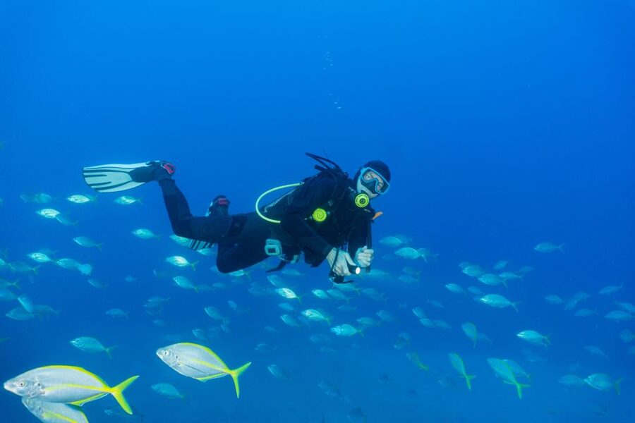 Funchal: Certified Scuba Diving, Guided Tour - Gear, rentals, and what to bring (so you’re not scrambling)