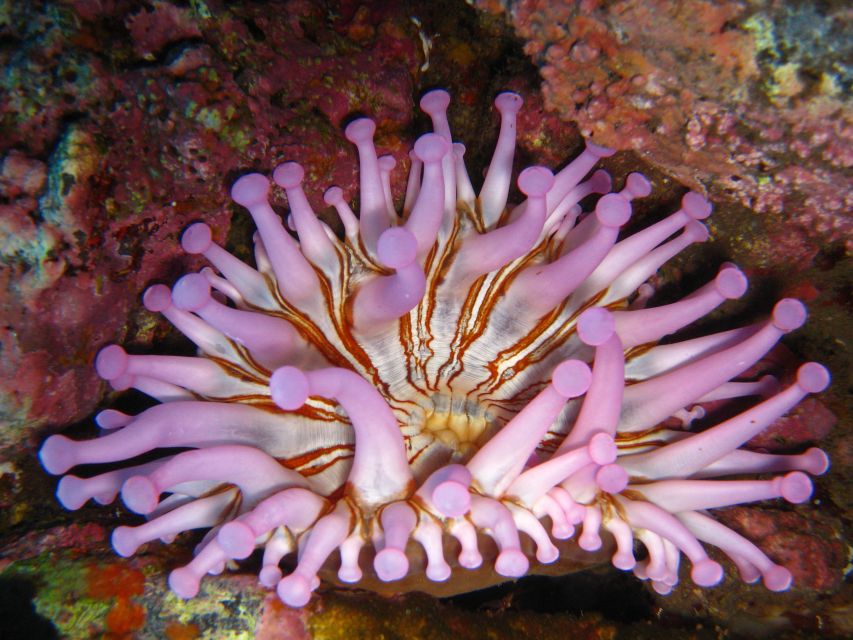 Funchal: Certified Scuba Diving, Guided Tour - Changing room and hot shower: the part that makes it a good day