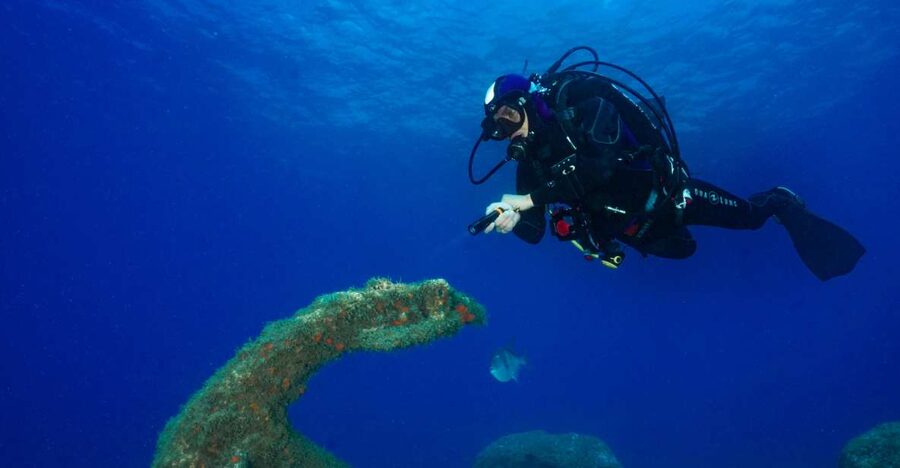 Funchal: Certified Scuba Diving, Guided Tour - Depth and difficulty level: plan for calm, controlled conditions
