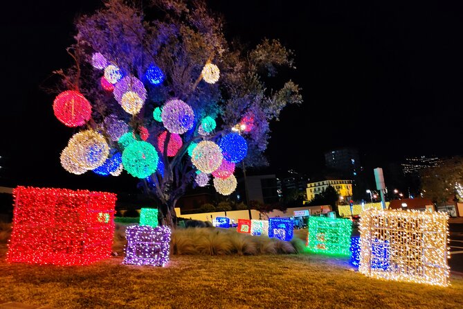 Funchal: Christmas Lights Sightseeing Night Tour - Central squares and gardens: where the decorations feel like a scene