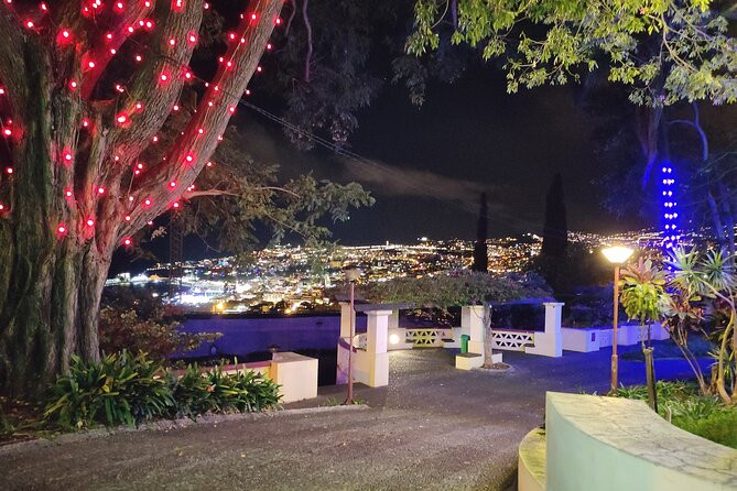 Funchal: Christmas Lights Sightseeing Night Tour - Your driver can make or break the evening (Miguel and Rodolfo stand out)