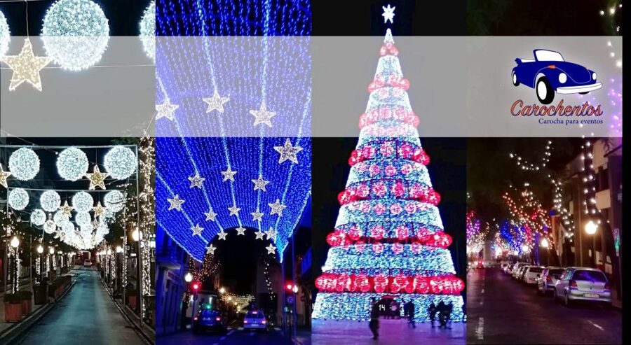 Funchal: Christmas Lights Sightseeing Night Tour - Price and value: what $41 buys you in Funchal at Christmas