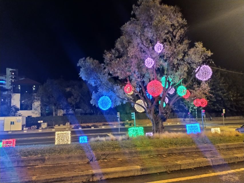 Funchal: Christmas Lights Sightseeing Night Tour - Who this tour suits best (and who should choose something else)