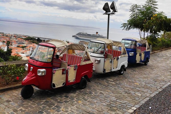Funchal City Tour + Old Town - Who This Tour Suits Best