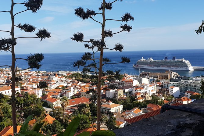 Funchal City Tour + Old Town - Should You Book This Funchal City Tour + Old Town?