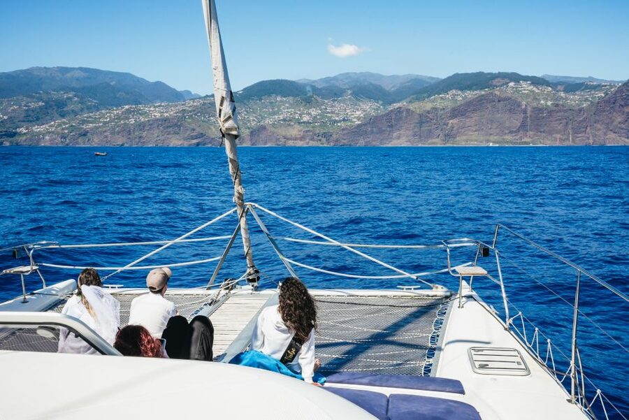 Funchal: Dolphin and Whale Watching by Luxury Catamaran - Should You Book This Funchal Dolphin and Whale Watching Trip?