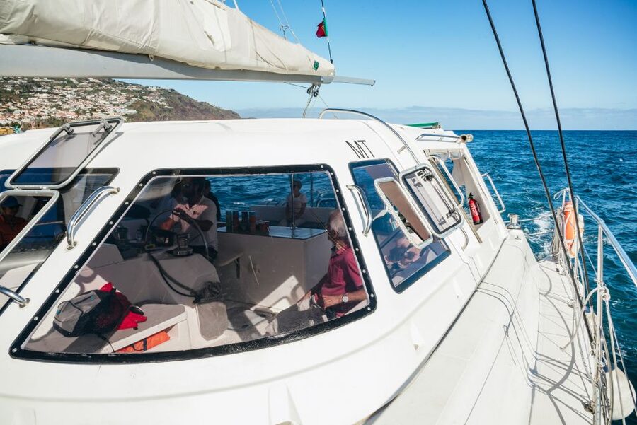 Funchal: Dolphin and Whale Watching by Luxury Catamaran - Getting to Pier 8: The New Meeting Point in Funchal