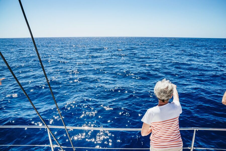 Funchal: Dolphin and Whale Watching by Luxury Catamaran - Cabo Girão at Anchor: Sea-Cliff Views Plus Clear-Water Time