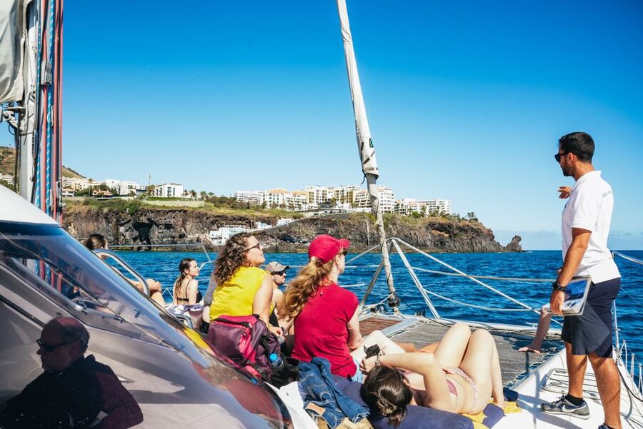 Funchal: Dolphin and Whale Watching by Luxury Catamaran - Group Size and the Real Value of the $47 Price