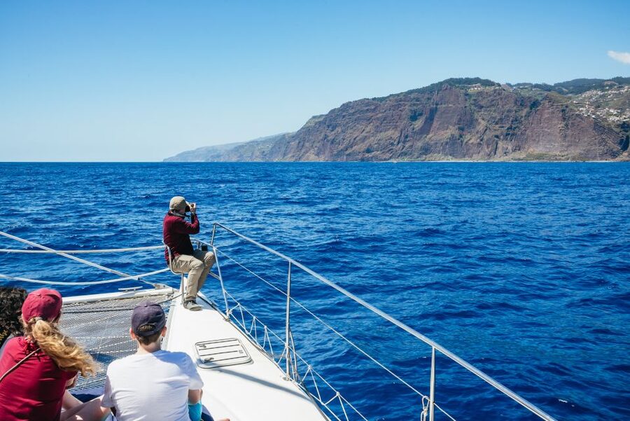 Funchal: Dolphin and Whale Watching by Luxury Catamaran - My Booking Advice: How to Choose the Right Departure