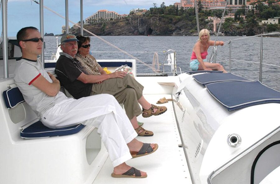 Funchal: Dolphin and Whale Watching Catamaran Cruise - Key highlights worth caring about