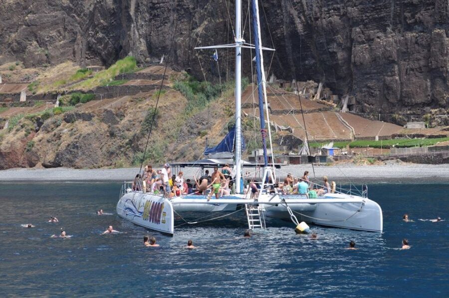 Funchal: Dolphin and Whale Watching Catamaran Cruise - Should you book the Funchal dolphin and whale catamaran?