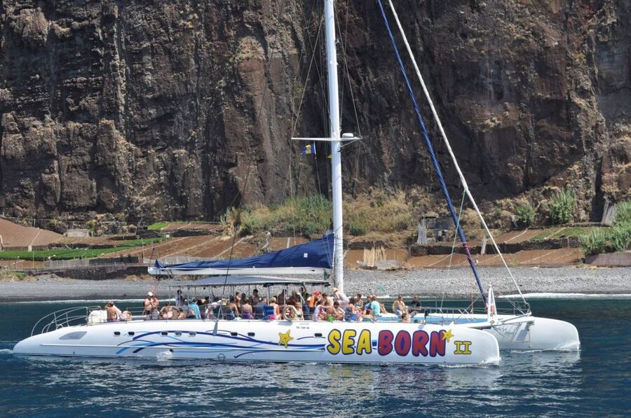 Funchal: Dolphin and Whale Watching Catamaran Cruise - The onboard bar, comfort, and why staff kindness matters