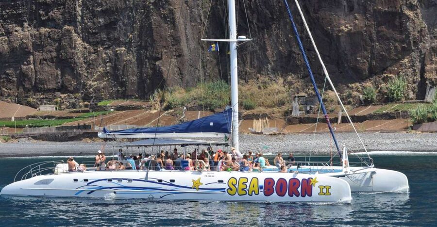 Funchal: Dolphin and Whale Watching Catamaran Cruise - Small practical tips that will save your day