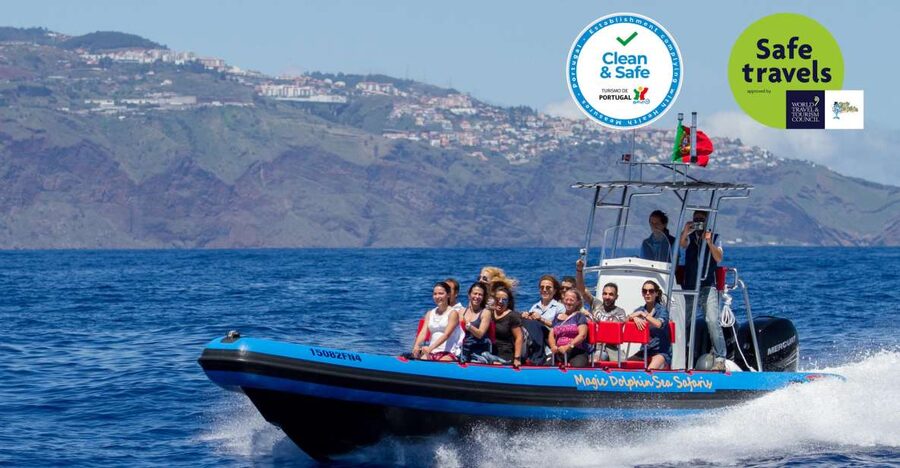 Funchal: Dolphin and Whale Watching Cruise - Sea Safari power: how you get offshore in a hurry from Funchal