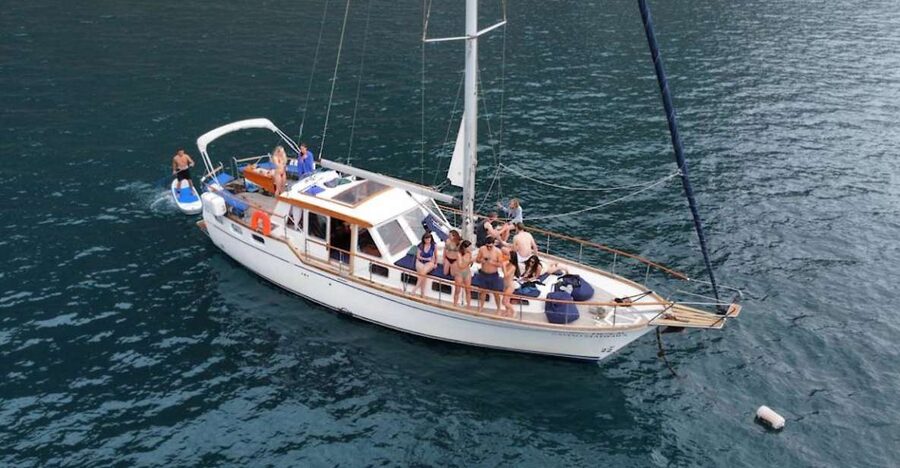 Funchal: Dolphin and Whale Watching Sailing Trip - Key highlights worth your time