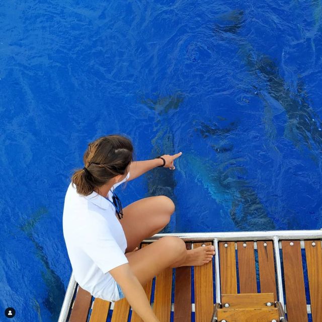 Funchal: Dolphin and Whale Watching Sailing Trip - Funchal Marina Departure: how the 3-hour trip really moves