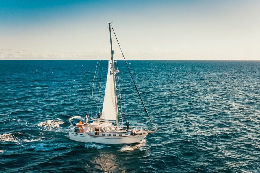 Funchal: Dolphin and Whale Watching Sailing Trip - Drinks, gear, and the small rules that prevent stress