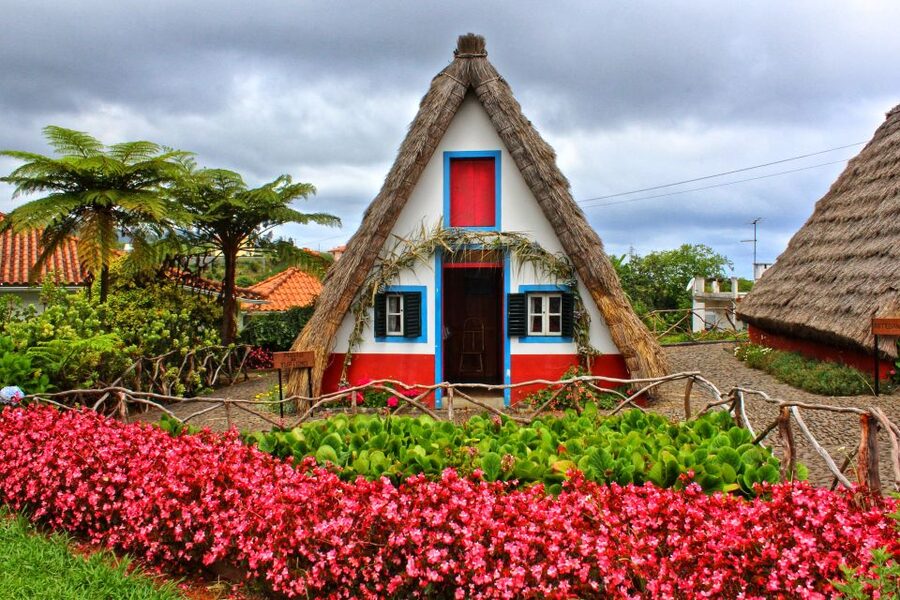 Funchal: East Madeira Island Guided Tour & Laurissilva Walk - Who should book this East Madeira tour (and who should skip)
