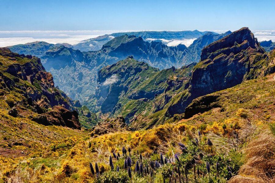 Funchal: East Madeira Island Guided Tour & Laurissilva Walk - Faial’s Guindaste viewpoint: the wild northeast, in quick hits