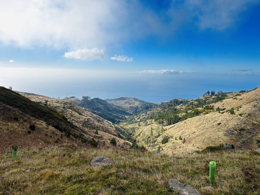 Funchal: East Madeira Island Guided Tour & Laurissilva Walk - Ponta de São Lourenço / Ponta do Rosto: finishing with wide-coast views