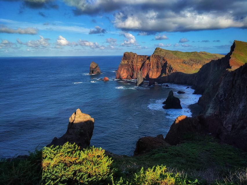 Funchal: East Madeira Island Guided Tour & Laurissilva Walk - Price and value: why $35 can work here