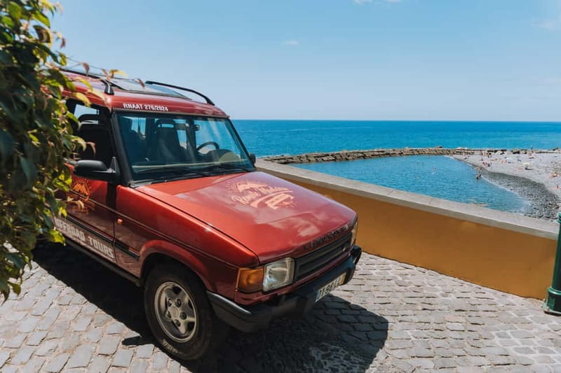 Funchal: Full-day Off-road Tour in West Madeira with Pickup - Fanal Misty Forest: Laurel Trees That Feel Like a Time Loop