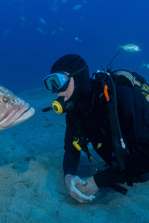 Funchal: Garajau national park - certified divers - Praia do Garajau: what to expect in the protected water