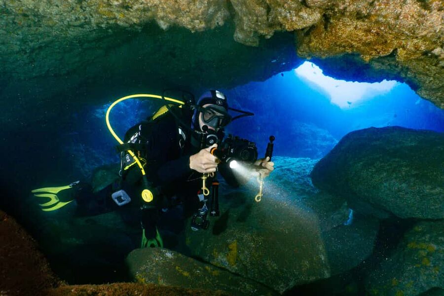 Funchal: Garajau national park - certified divers - From Pestana Carlton to sea level: getting started the right way