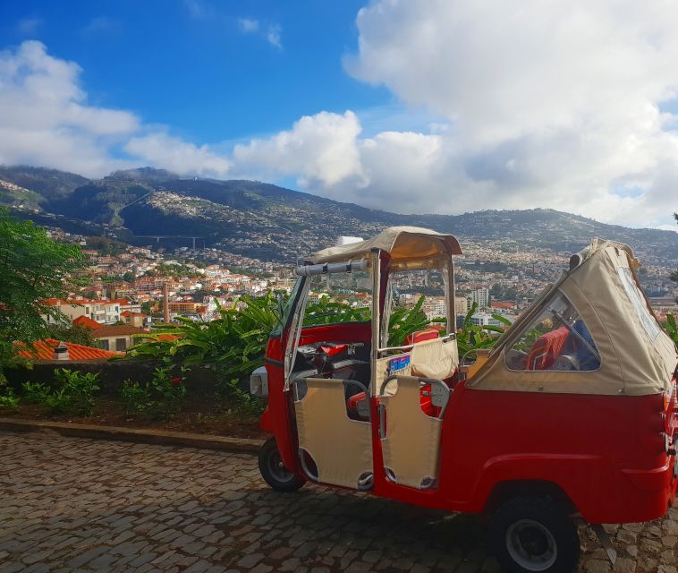 Funchal: Guided City Tuk-Tuk Tour - Picking the Right Moment to Do This Tour