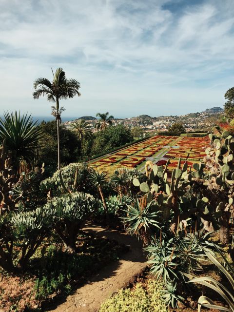 Funchal: Guided Old Town Tuk Tuk Tour and Botanical Gardens - Old Town driving: steep lanes, tight turns, and the 16th-century feel