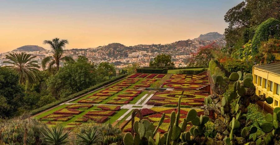 Funchal: Guided Old Town Tuk Tuk Tour and Botanical Gardens - Hotel pick-up and the two-hour rhythm that works