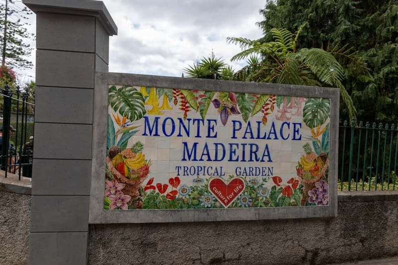 Funchal: Guided Tuk Tuk Tour to Toboggan Rides & Old Town - Pickup and Timing: The Real Secret to Monte Toboggan Runs