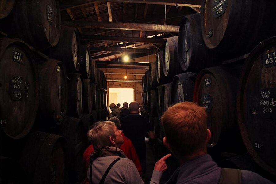 Funchal: H.M. Borges Winery Guided Tour with Wine Tasting - What You Do First: Meet at H.M. Borges and Get Oriented