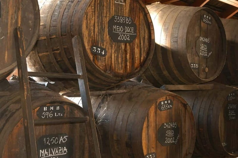 Funchal: H.M. Borges Winery Private Tour and Wine Tasting - The 40-minute walkthrough: aging, casks, and the details people forget