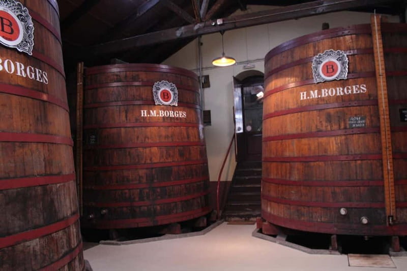 Funchal: H.M. Borges Winery Private Tour and Wine Tasting - A tasting room with Max Römer artwork and 6 wines in a flight