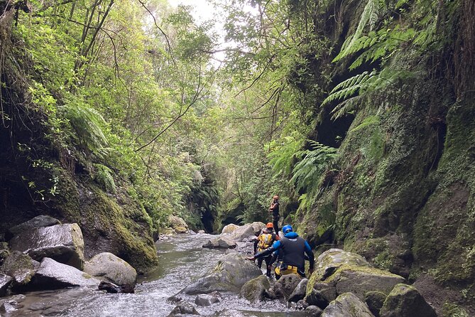 Funchal: Half-day Beginners Canyoning - Getting Started at Lokoloko and Why the First 30 Minutes Matter