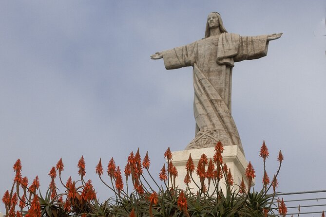 Funchal highlights 5h Private Tour in Madeira - Stop 2: Pico dos Barcelos Viewpoint for the “Natural Amphitheatre” Feeling