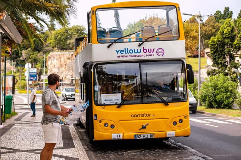 Funchal:Hop-on Hop-off Bus & Whale & Dolphin boat Excursion - Key Things I’d Focus On